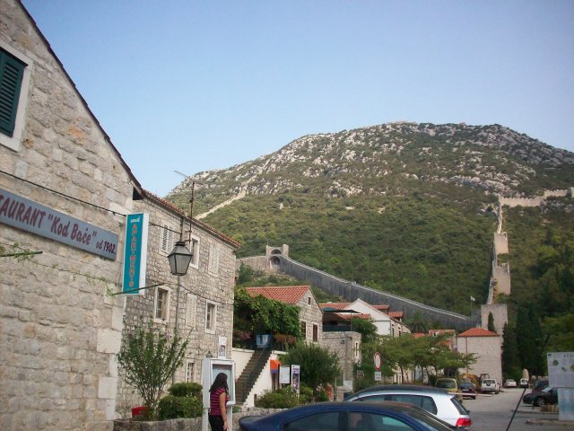 Stone 2011