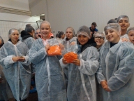 Pályaorientációs nap