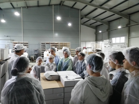 Mi leszel, ha nagy leszel?