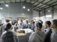 Mi leszel, ha nagy leszel?