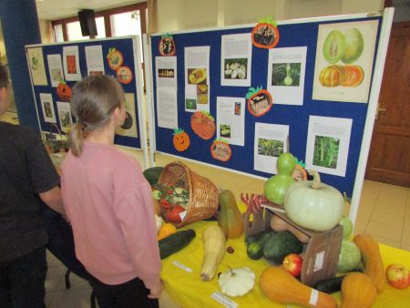 T&ouml;kf&eacute;l&eacute;k gal&eacute;ri&aacute;ja