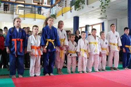 Judo világnap