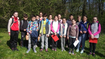 Felsős matek versenyek